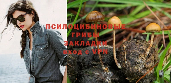 эйфоретик Медвежьегорск
