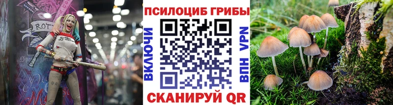 гидра рабочий сайт  Норильск  Псилоцибиновые грибы мухоморы 